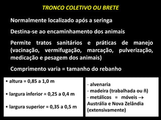 TRONCO COLETIVO OU BRETE
Normalmente localizado após a seringa
Destina-se ao encaminhamento dos animais
Permite tratos sanitários e práticas de manejo
(vacinação, vermifugação, marcação, pulverização,
medicação e pesagem dos animais)
Comprimento varia = tamanho do rebanho
• altura = 0,85 a 1,0 m
• largura inferior = 0,25 a 0,4 m
• largura superior = 0,35 a 0,5 m
- alvenaria
- madeira (trabalhada ou ñ)
- metálicos = móveis 
Austrália e Nova Zelândia
(extensivamente)
39
 