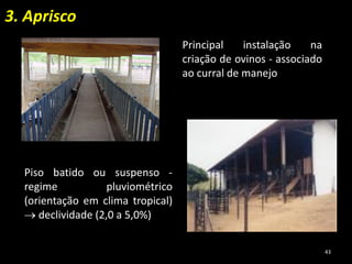 3. Aprisco
Principal instalação na
criação de ovinos - associado
ao curral de manejo
Piso batido ou suspenso -
regime pluviométrico
(orientação em clima tropical)
 declividade (2,0 a 5,0%)
43
 