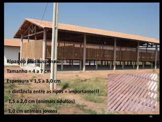Ripas do piso suspenso:
Tamanho = 4 a 7 cm
Espessura = 1,5 a 3,0 cm
 distância entre as ripas = importante!!!
- 1,5 a 2,0 cm (animais adultos)
- 1,0 cm animais jovens
46
 