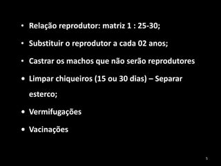 • Relação reprodutor: matriz 1 : 25-30;
• Substituir o reprodutor a cada 02 anos;
• Castrar os machos que não serão reprodutores
• Limpar chiqueiros (15 ou 30 dias) – Separar
esterco;
• Vermifugações
• Vacinações
5
 