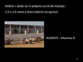 Solário = pode ser o próprio curral de manejo:
1,5 a 2,0 vezes a área coberta no aprisco
AUSENTE - Vitamina D
50
 
