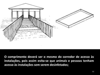 O comprimento deverá ser o mesmo do corredor de acesso às
instalações, pois assim evita-se que animais e pessoas tenham
acesso às instalações sem serem desinfetados;
55
 