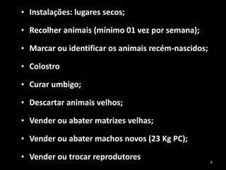 • Instalações: lugares secos;
• Recolher animais (mínimo 01 vez por semana);
• Marcar ou identificar os animais recém-nascidos;
• Colostro
• Curar umbigo;
• Descartar animais velhos;
• Vender ou abater matrizes velhas;
• Vender ou abater machos novos (23 Kg PC);
• Vender ou trocar reprodutores 6
 