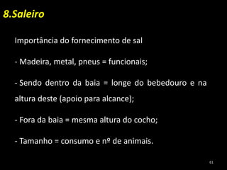 Importância do fornecimento de sal
- Madeira, metal, pneus = funcionais;
- Sendo dentro da baia = longe do bebedouro e na
altura deste (apoio para alcance);
- Fora da baia = mesma altura do cocho;
- Tamanho = consumo e nº de animais.
8.Saleiro
61
 