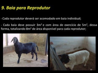 9. Baia para Reprodutor
- Cada reprodutor deverá ser acomodado em baia individual;
- Cada baia deve possuir 3m2 e com área de exercício de 5m2, dessa
forma, totalizando 8m2 de área disponível para cada reprodutor;
63
 