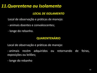 11.Quarentena ou Isolamento
LOCAL DE ISOLAMENTO
Local de observação e práticas de manejo:
- animais doentes e convalescentes;
- longe do rebanho.
QUARENTENÁRIO
Local de observação e práticas de manejo:
- animais recém adquiridos ou retornando de feiras,
exposições ou leilões;
- longe do rebanho
65
 