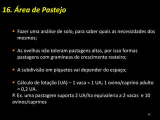 16. Área de Pastejo
 Fazer uma análise de solo, para saber quais as necessidades dos
mesmos;
 As ovelhas não toleram pastagens altas, por isso formas
pastagens com gramíneas de crescimento rasteiro;
 A subdivisão em piquetes vai depender do espaço;
 Cálculo de lotação (UA) – 1 vaca = 1 UA; 1 ovino/caprino adulto
= 0,2 UA.
P. Ex. uma pastagem suporta 2 UA/ha equivaleria a 2 vacas e 10
ovinos/caprinos
75
 
