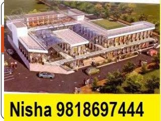 Nisha98I8894553 signature global signum sector 107 gurgaon