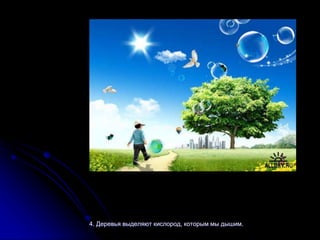 4. Деревья выделяют кислород, которым мы дышим.
 