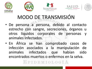 MODO DE TRANSMISIÓN
• De persona a persona, debido al contacto
estrecho con sangre, secreciones, órganos u
otros líquidos corporales de personas y
animales infectados.
• En África se han comprobado casos de
infección asociados a la manipulación de
animales infectados que habían sido
encontrados muertos o enfermos en la selva.
 