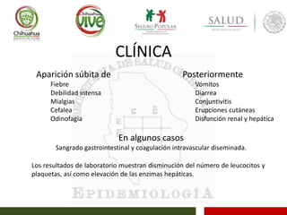 CLÍNICA
Posteriormente
Vómitos
Diarrea
Conjuntivitis
Erupciones cutáneas
Disfunción renal y hepática
Aparición súbita de
Fiebre
Debilidad intensa
Mialgias
Cefalea
Odinofagia
En algunos casos
Sangrado gastrointestinal y coagulación intravascular diseminada.
Los resultados de laboratorio muestran disminución del número de leucocitos y
plaquetas, así como elevación de las enzimas hepáticas.
 