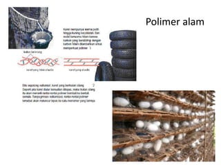 Polimer alam
 