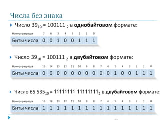 Числа без знака
 Число 3910 = 100111 2 в однобайтовом формате:
Номера разрядов 7 6 5 4 3 2 1 0
Биты числа 0 0 1 0 0 1 1 1
 Число 3910 = 100111 2 в двубайтовом формате:
Номера разрядов 15 14 13 12 11 10 9 8 7 6 5 4 3 2 1 0
Биты числа 0 0 0 0 0 0 0 0 0 0 1 0 0 1 1 1
 Число 65 53510 = 11111111 111111112 в двубайтовом формате:
Номера разрядов 15 14 13 12 11 10 9 8 7 6 5 4 3 2 1 0
Биты числа 1 1 1 1 1 1 1 1 1 1 1 1 1 1 1 1
 