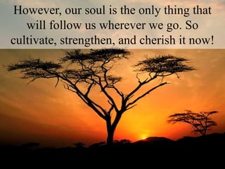 However, our soul is the only thing that
will follow us wherever we go. So
cultivate, strengthen, and cherish it now!
 