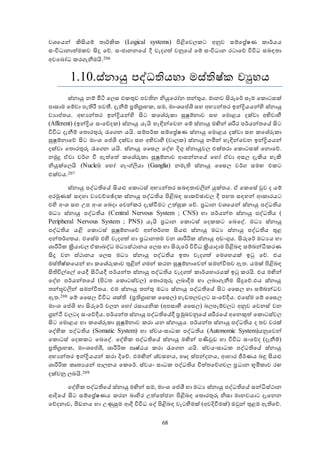 68
වශඡයන් කිිංයම් තාර්කික අLogical systems පිළිඡව කට අනුව සම්ඡප්‍රේෂණ කාර්යය
සංවිධානාත්මකව ිංදු ඡේ. සංජානනඡේ දී වැදගත් වනුඡේ ඡම් සංවිධාන රටාඡේ විවිධ සබඳතා
අවඡබෝධ කරගැනීමයි.206
1.10.ස්නායු පේධතියහා මස්තිෂ්ක වයුහය
ස්නායු නම් මිින ඡ ස එකතුව පවතින නියුඡරෝන තන්තුය. මානව ිංරුඡර් ස ම ඡකොටසක්
පාසාම ඡම්වා පැතිරී පවන්. දැනීම් ප්‍රතිග්‍රාහක, සම, මාංශඡප්ශි සහ අභයන්තර ඉන්ද්‍රියයන්හි ස්නායු
වයාප්තය. අභයන්තර ඉන්ද්‍රියන්හි ිංට කඡශේරුකා සුෂුම්නාව සහ ඡමොළය දක්වා අභිවාීම
අAfferent අඉන්ද්‍රිය සංඡේදක ස්නායු යැයි හැඳින්ඡවන ඡම් ස්නායු මන්න් ශරීර පර්යන්තඡේ ිංට
විවිධ දැනීම් ඡතොරතුරු රැඡගන යයි. සම්පර්ක සම්ඡප්‍රේෂණ ස්නායු ඡමොළය දක්වා සහ කඡශේරුකා
සුෂුම්නාඡේ ිංට මාංශ ඡප්ශි දක්වා සහ අභිවාීම අචා ක ස්නායු නමින් හැඳින්ඡවන ඉන්ද්‍රියයන්
දක්වා ඡතොරතුරු රැඡගන යයි. ස්නායු වස ඡේහ දිගු ස්නායුව එක්තරා ඡකොටසක් ඡනොඡේ.
නමුදු ඒවා වර්ග වී ඇත්ඡත් කඡශේරුකා සුෂුම්නාව ආසන්නඡේ ඡහෝ ඒවා අස දැකිය හැකි
නියුක්ඡ යි අNuclei ඡහෝ ගැංහලයා අGanglia නමැති ස්නායු වස වර්ග සමඟ එකට
එක්වය.207
ස්නායු පේධතිඡේ ිංයළු ඡකොටස් අභයන්තර සබඳතාවලන් යුක්තය. ඒ ඡකඡසේ රුව ද යම්
අරමුණක් සඳහා වයවච්ඡේදක ස්නායු පේධතිය පිළිබඳ සාකච්ාාව දී පහත සඳහන් ආකාරයට
එහි අංශ සහ සප අංශ ඡබදා ඡවන්කර දැක්වීමට සත්සුක ඡේ. ප්‍රධාන වශඡයන් ස්නායු පේධතිය
මධය ස්නායු පේධතිය අCentral Nervous System ; CNS හා පර්යන්ත ස්නායු පේධතිය අ
Peripheral Nervous System ; PNS යැයි ප්‍රධාන ඡකොටස් ඡදකකට ඡබඡේ. මධය ස්නායු
පේධතිය යළි ඡකොටස් සුෂුම්නාඡේ අන්තර්ගත ිංයළු ස්නායු මධය ස්නායු පේධතිය තුළ
අන්තර්ගතය. එඡසේම එහි වැදගත් හා ප්‍රධානතම වන ශාරීරික ස්නායු අඩංගුය. ිංරුඡර් මධයය හා
ශාරීරික ක්‍රියාව ඒකාබේධ මධයස්ථානය ඡ ස හා ිංරුඡර් විවිධ ක්‍රියාදාම පිළිබඳ සම්බන්ධීකරණ
ිංදු වන ස්ථානය ඡ ස මධය ස්නායු පේධතිය ඉතා වැදගත් ඡමඡහයක් ඉටු ඡේ. එය
මස්තිෂ්කඡයන් හා කඡශේරුකාව තුළින් ගමන් කරන සුෂුම්නාඡවන් සමන්විතව ඇත. යමක් පිළිබඳ
ිංතිවිල්ඡල් ඡයදී ිංිනයදී පර්යන්ත ස්නායු පේධතිය වැදගත් කාර්යභාරයක් ඉටු කරයි. එය මන්න්
ඡේහ පර්යන්තඡේ අපිටත ඡකොටස්ව ඡතොරතුරු බාදීම හා බාගැනීම ිංදුඡේ.එය ස්නායු
තන්ූ වලන් සමන්විතය. එම ස්නායු තන්තු මධය ස්නායු පේධතිඡේ ිංට වස හා සම්බන්ධව
ඇත.208 ඡම් වස විවිධ ශක්ති අප්‍රතිග්‍රාහක වස හැඩත ව ට සංඡේදීය. එඡසේම ඡම් වස
මාංශ ඡප්ශි හා ිංරුඡර් ච න ඡහෝ රසායනික අඅපසාීම වස බ ප ම්ව ට අනුව ඡවනස් වන
ග්‍රන්ිර ව ටද සංඡේදීය. පර්යන්ත ස්නායු පේධතිඡේදී ප්‍රමුඛවනුඡේ ශරීරඡේ අඡනකුත් ඡකොටස්ව
ිංට ඡමොළය හා කඡශේරුකා සුෂුම්නාව කරා යන ස්නායුය. පර්යන්ත ස්නායු පේධතිය ද තව වරක්
ඡේහික පේධතිය අSomatic System හා ස්වයංසාධක පේධතිය අAutonomic System යනුඡවන්
ඡකොටස් ඡදකකට ඡබඡේ. ඡේහික පේධතිඡේ ස්නායු මන්න් පණිරුඩ හා විවිධ සංඡේද අදැනීම්
ප්‍රතිග්‍රාහක, මාංශඡප්ලි, ශාරීරික පෘෂ්ාය කරා රැඡගන යයි. ස්වයංසාධක පේධතිඡේ ස්නායු
අභයන්තර ඉන්ද්‍රියයන් කරා දිඡේ. එමන්න් ශ්වසනය, හෘද ස්පන්දනය, ආහාර ජීර්ණය බඳු ිංයළු
ශාරීරික කෘතයයන් පා නය ඡකඡර්. ස්වයං සාධක පේධතිය චිත්තඡේගව ප්‍රධාන භූමිකාව රඟ
දක්වනු බයි.209
ඡේහික පේධතිඡේ ස්නායු මන්න් සම, මාංශ ඡප්ලි හා මධය ස්නායු පේධතිඡේ සන්ධිස්ථාන
ආදිඡේ ිංට සම්ඡප්‍රේෂණය කරන බාහිර සත්ඡත්ජන පිළිබඳ ඡතොරතුරු නිසා මානවයාට දැඡනන
ඡේදනාව, ී ඩනය හා සණුසුම ආදී විවිධ ඡේ පිළිබඳ වැටීමමක් අඅවදිවීමක් ඔරුන් තුළම ඇතිඡේ.
 