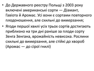 • До Державного реєстру Польщі з 2003 року
включені американські сорти — Діамант,
Гавіота й Аромас. Усі вони є сортами повторного
плодоношення, але схильні до вимерзання;
• Ягоди першої хвилі усіх трьох сортів достигають
приблизно на три дні раніше за плоди сорту
Зенга Зенгана, врожайність невисока. Рослини
схильні до вимерзання, але стійкі до хвороб
(Аромас — до сірої гнилі)
 
