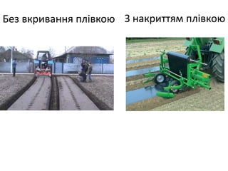 Без вкривання плівкою З накриттям плівкою
 