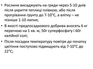 • Рослини висаджують на гряди через 5-10 днів
після укриття теплиці плівкою, або після
прогрівання ґрунту до 7-10°С, а влітку – не
пізніше 1-10 липня;
• В якості предпосадкового добрива вносять 6 кг
перегною на 1 кв. м, 50г суперфосфату і 60г
калійної солі;
• Після посадки температуру повітря до початку
цвітіння поступово підвищують від 7-10°С до
22°С;
 