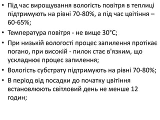 • Під час вирощування вологість повітря в теплиці
підтримують на рівні 70-80%, а під час цвітіння –
60-65%;
• Температура повітря - не вище 30°С;
• При низькій вологості процес запилення протікає
погано, при високій - пилок стає в'язким, що
ускладнює процес запилення;
• Вологість субстрату підтримують на рівні 70-80%;
• В період від посадки до початку цвітіння
встановлюють світловий день не менше 12
годин;
 