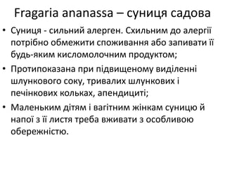 Fragaria ananassa – суниця садова
• Суниця - сильний алерген. Схильним до алергії
потрібно обмежити споживання або запивати її
будь-яким кисломолочним продуктом;
• Протипоказана при підвищеному виділенні
шлункового соку, тривалих шлункових і
печінкових кольках, апендициті;
• Маленьким дітям і вагітним жінкам суницю й
напої з її листя треба вживати з особливою
обережністю.
 
