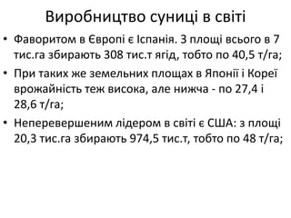Виробництво суниці в світі
• Фаворитом в Європі є Іспанія. З площі всього в 7
тис.га збирають 308 тис.т ягід, тобто по 40,5 т/га;
• При таких же земельних площах в Японії і Кореї
врожайність теж висока, але нижча - по 27,4 і
28,6 т/га;
• Неперевершеним лідером в світі є США: з площі
20,3 тис.га збирають 974,5 тис.т, тобто по 48 т/га;
 