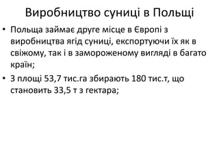 Виробництво суниці в Польщі
• Польща займає друге місце в Європі з
виробництва ягід суниці, експортуючи їх як в
свіжому, так і в замороженому вигляді в багато
країн;
• З площі 53,7 тис.га збирають 180 тис.т, що
становить 33,5 т з гектара;
 