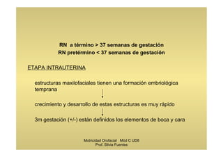 RN a término > 37 semanas de gestación
RN pretérmino < 37 semanas de gestación
ETAPA INTRAUTERINA
estructuras maxilofaciales tienen una formación embriológica
temprana
crecimiento y desarrollo de estas estructuras es muy rápido
3m gestación (+/-) están definidos los elementos de boca y cara
Motricidad Orofacial Mód C UD8
Prof. Silvia Fuentes
 
