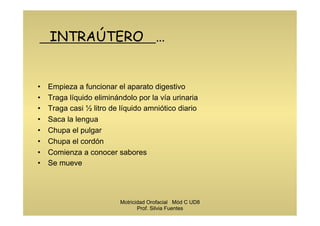INTRAÚTERO …
•  Empieza a funcionar el aparato digestivo
•  Traga líquido eliminándolo por la vía urinaria
•  Traga casi ½ litro de líquido amniótico diario
•  Saca la lengua
•  Chupa el pulgar
•  Chupa el cordón
•  Comienza a conocer sabores
•  Se mueve
Motricidad Orofacial Mód C UD8
Prof. Silvia Fuentes
 