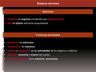 1.1 tejido nervioso | PPTX
