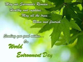 Environment day