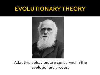 Adaptive behaviors are conserved in the
evolutionary process
 