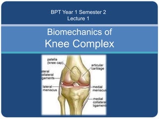 Biomechanics of
Knee Complex
BPT Year 1 Semester 2
Lecture 1
 