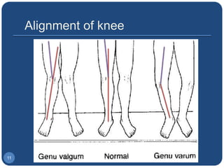 1. biomechanics of the knee joint basics | PPTX