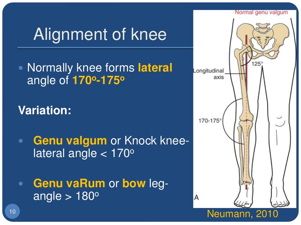 1. biomechanics of the knee joint basics