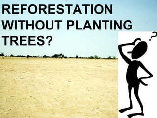REFORESTATION
WITHOUT PLANTING
TREES?
 