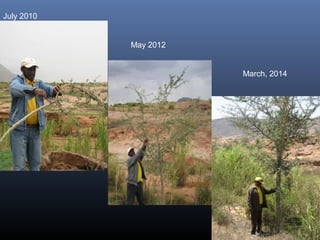 July 2010
May 2012
March, 2014
 