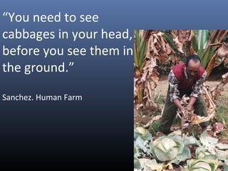 “You need to see
cabbages in your head,
before you see them in
the ground.”
Sanchez. Human Farm
 
