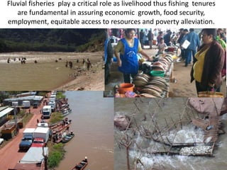 Fluvial fisheries play a critical role as livelihood thus fishing tenures
are fundamental in assuring economic growth, foo...