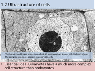 1.2 Ultrastructure of cells
• Essential idea: Eukaryotes have a much more complex
cell structure than prokaryotes.
• The background image above is an electron micrograph of a plant cell. It clearly shows
the complex structures present in eukaryote cells.
http://botit.botany.wisc.edu/Resources/Botany/Plant%20Cell/Electron%20Micrographs/General%20Cell/Young-Cell.jpg
 