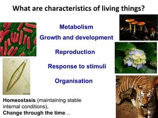 What are characteristics of living things?
Organisation
Response to stimuli
Homeostasis (maintaining stable
internal conditions),
Change through the time…
Metabolism
Growth and development
Reproduction
 