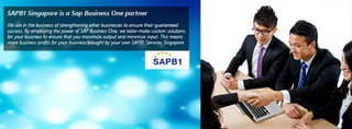 Sap B1 Services