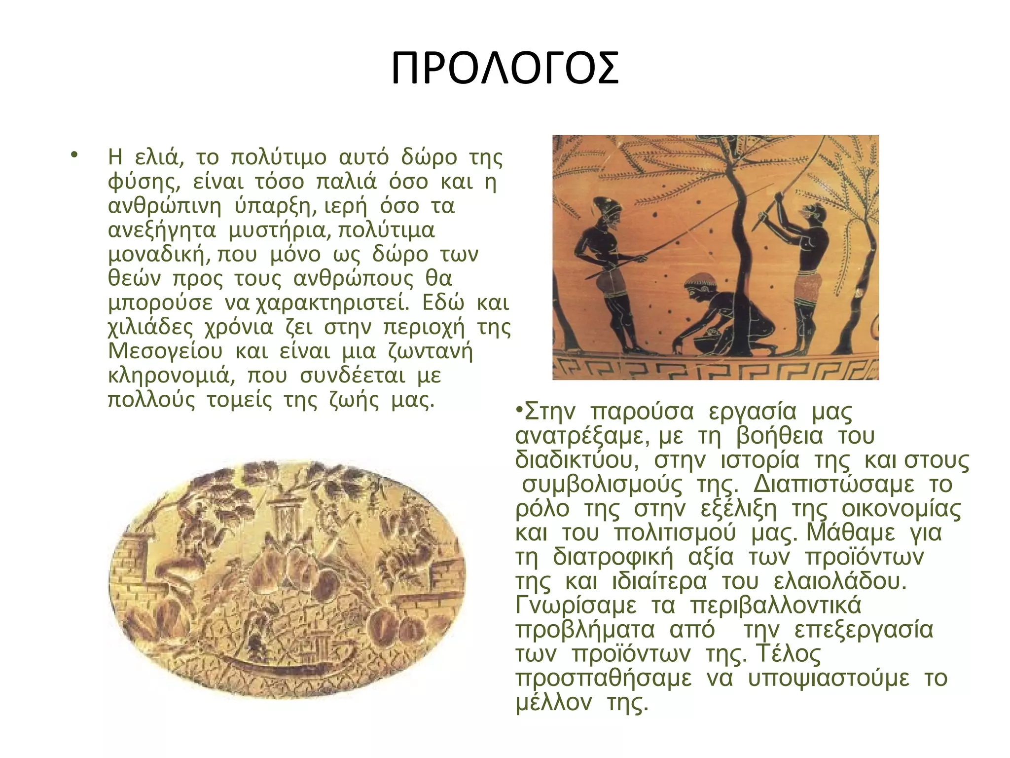ΠΡΟΛΟΓΟΣ
• Η ελιά, το πολύτιμο αυτό δώρο της
φύσης, είναι τόσο παλιά όσο και η
ανθρώπινη ύπαρξη, ιερή όσο τα
ανεξήγητα μυστήρια, πολύτιμα
μοναδική, που μόνο ως δώρο των
θεών προς τους ανθρώπους θα
μπορούσε να χαρακτηριστεί. Εδώ και
χιλιάδες χρόνια ζει στην περιοχή της
Μεσογείου και είναι μια ζωντανή
κληρονομιά, που συνδέεται με
πολλούς τομείς της ζωής μας. •Στην παρούσα εργασία μας
ανατρέξαμε, με τη βοήθεια του
διαδικτύου, στην ιστορία της και στους
συμβολισμούς της. Διαπιστώσαμε το
ρόλο της στην εξέλιξη της οικονομίας
και του πολιτισμού μας. Μάθαμε για
τη διατροφική αξία των προϊόντων
της και ιδιαίτερα του ελαιολάδου.
Γνωρίσαμε τα περιβαλλοντικά
προβλήματα από την επεξεργασία
των προϊόντων της. Τέλος
προσπαθήσαμε να υποψιαστούμε το
μέλλον της.
 