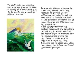 Στην αρχαία Αίγυπτο πίστευαν ότι
η θεά Ίσις, γυναίκα του Όσιρη,
κρατούσε το μυστικό για την
καλλιέργεια της ελιάς. Το λάδι της
ελιάς αποτελεί θρησκευτικό αγαθό.
Η ελιά συνδέθηκε συμβολικά και με
άλλες θεότητες της βλάστησης και
της γονιμότητας.
Η ελιά χρησιμοποιούνταν ως
πένθιμη τροφή. Από την αρχαιότητα
το λάδι της το χρησιμοποιούσαν
στα ταφικά έθιμα και θεωρείτο από
τα σημαντικότερα αγαθά που
στερούνταν οι νεκροί. Αυτή η
συμβολική πλευρά της ελιάς
διατηρείται ως τις μέρες μας, μέσω
της χρήσης του λαδιού στα βασικά
χριστιανικά μυστήρια.
Το κλαδί ελιάς που κρατούσε
ένα περιστέρι ήταν για το Νώε
ο οιωνός ότι η ανθρώπινη ζωή
θα ξανάρχιζε στη γη, μετά το
βιβλικό κατακλυσμό.
 