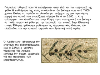 Πάμπολλα ελληνικά γραπτά αναφέρονται στην ελιά και τον ευεργετικό της
ρόλο. Η καλλιέργεια της ελιάς υπολογίζεται ότι ξεκίνησε πριν από 7.000
χρόνια. Εκείνη τη περίοδο τα ελαιόδεντρα υπήρχαν ως μια πρωτόγονη
μορφή του φυτού που γνωρίζουμε σήμερα. Μετά το 3.000 π. Χ. η
καλλιέργεια των ελαιόδεντρων στην Κρήτη έγινε συστηματική και ξεκίνησε
να παίζει σημαντικό ρόλο για την οικονομία του νησιού. Στην Κλασσική
εποχή Έλληνες φιλόσοφοι μελέτησαν τις φαρμακευτικές ιδιότητες του
ελαιόλαδου και την ιστορική σημασία σαν θρεπτική πηγή υγείας.
Ο Αριστοτέλης αποκάλυψε την
επιστήμη της ελαιοπαραγωγής,
ενώ ο Σόλων, ο μεγάλος
νομοθέτης της Αθήνας,
εισήγαγε την πρώτη νομοθεσία
για την προστασία των
ελαιοπαραγωγών.
 