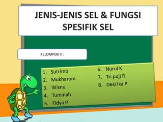 JENIS-JENIS SEL & FUNGSI
SPESIFIK SEL
KELOMPOK II :
 