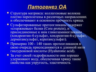 11
Патогенез ОАПатогенез ОА
 Структура матрикса: коллагеновые волокна
плотно переплетены в различных направлениях
и обеспечивают в основном прочность хряща.
 Сульфатированные протеогликаны содержат
«стержневые» белки (Core protein), и
присоединенные к ним гликозаминогликаны
(хондроитин-4-сульфат, хондроитин-6-сульфат,
дерматансульфат, кератансульфат).
 Примерно 100 - 140 таких протеогликанов в
свою очередь присоединяются к длинной нити
гиалуроновой кислоты (Hyaluronic acid).
 За счет своей гидрофильности они хорошо
удерживают воду, обеспечивая хрящу такие
свойства как упругость, эластичность
 