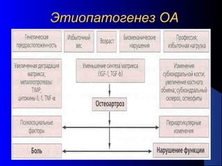 15
Этиопатогенез ОАЭтиопатогенез ОА
 