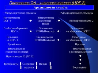16
Патогенез ОА – циклооксигеназа (ЦОГ-2)Патогенез ОА – циклооксигеназа (ЦОГ-2)
Арахидоновая кислота
• Физиологические стимулы • Воспалительные стимулы
Ингибирование Неселективные
ЦОГ -1  (системные)  Ингибирование ЦОГ-2
НПВП
Слабое ингибирование Селективные Селективное
ЦОГ – 1  НПВП (Нимесил)  ингибирование ЦОГ-2
Не влияют Специфические Селективное
на ЦОГ - 1 НПВП (Целебрекс)  ингибирование ЦОГ-2
Тромбоксан Протеазы
Простациклины Простагландины
с защитной функцией в воспаленных тканях
Простагландин Е2 (ПГ Е2) ▼
▼
Тромбоциты ▐ Слизистая ▐ Почки ▐ ▼
▐ желудка ▐ ▐ Воспаление
 