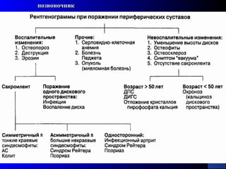 26
позвоночникпозвоночник
 