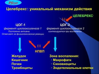 91
Желудок Зона воспаления:
Кишечник · Макрофаги
Почки · Синовиоциты
Тромбоциты · Эндотелиальные клетки
ЦЕЛЕБРЕКС®
НПВП
(-)
(-)
Целебрекс®
: уникальный механизм действия
ЦОГ-1ЦОГ-1
фермент циклооксигеназа 1фермент циклооксигеназа 1
Постоянно активна.Постоянно активна.
Отвечает за физиологические реакции.Отвечает за физиологические реакции.
ЦОГ-2ЦОГ-2
фермент циклооксигеназа 2фермент циклооксигеназа 2
синтезируется при воспалении
Pfizer
 